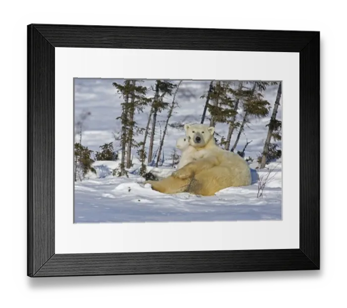 Framed Print : Canada, Manitoba Framed Print : Canada, Manitoba