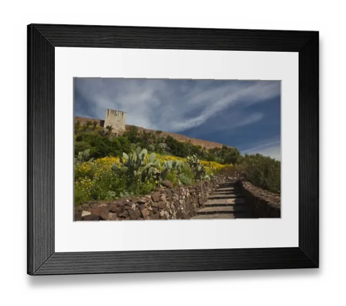 Framed Print : Italy, Sardinia, Bosa. Cacti and Castello Malaspina Framed Print : Italy, Sardinia, Bosa. Cacti and Castello Malaspina
