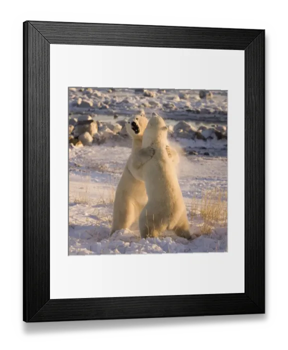 Framed Print : Canada, Manitoba Framed Print : Canada, Manitoba