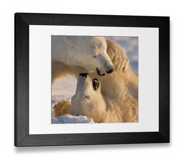 Framed Print : Canada, Manitoba