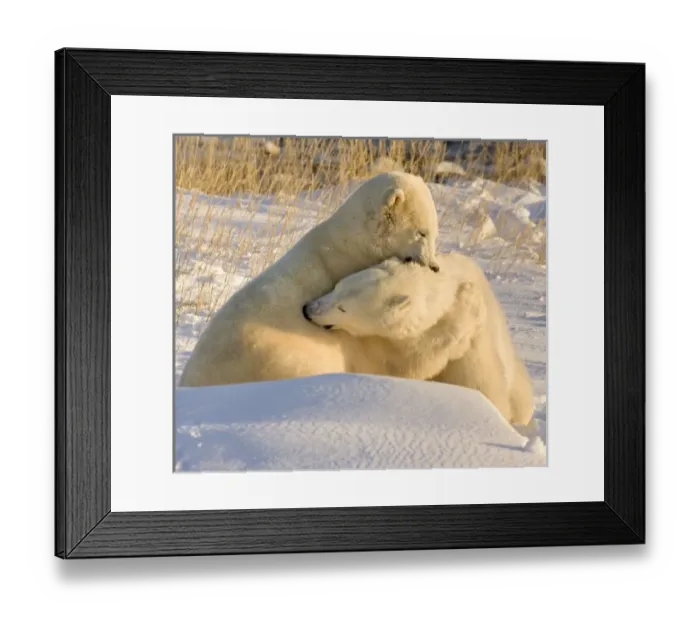 Framed Print : Canada, Manitoba Framed Print : Canada, Manitoba