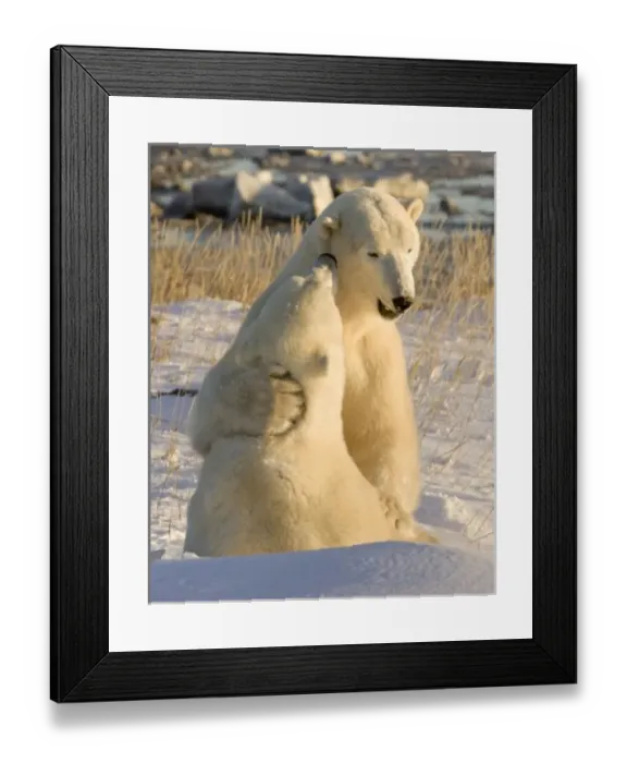 Framed Print : Canada, Manitoba Framed Print : Canada, Manitoba