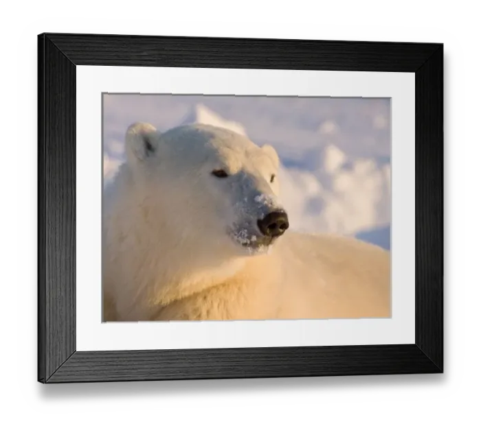 Framed Print : Canada, Manitoba Framed Print : Canada, Manitoba