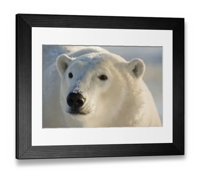 Framed Print : Canada, Manitoba Framed Print : Canada, Manitoba