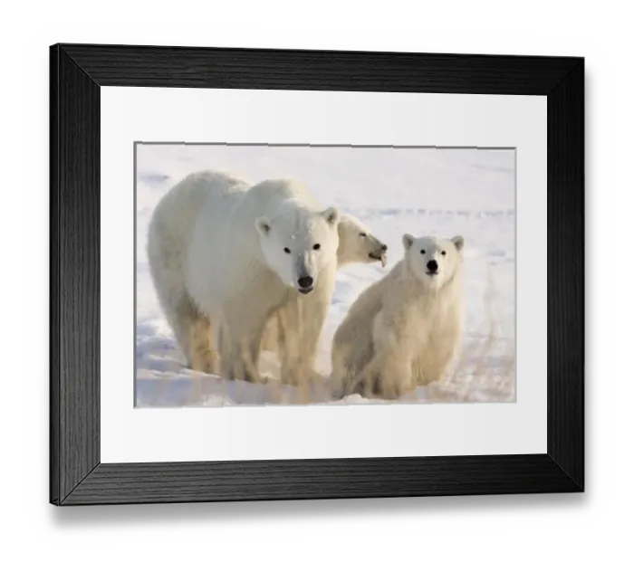 Framed Print : Canada, Manitoba Framed Print : Canada, Manitoba