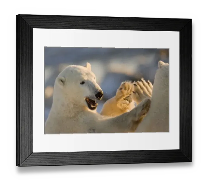 Framed Print : Canada, Manitoba Framed Print : Canada, Manitoba