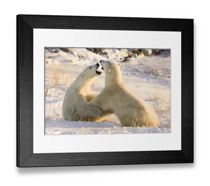 Framed Print : Canada, Manitoba Framed Print : Canada, Manitoba