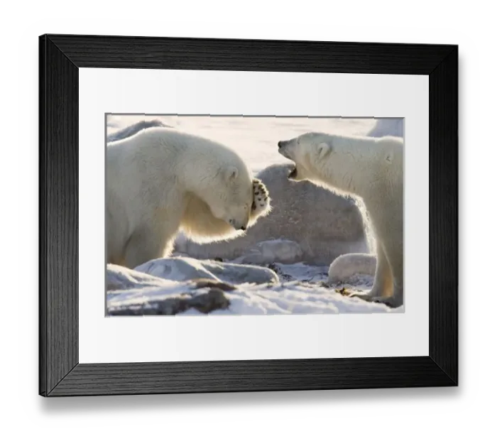 Framed Print : Canada, Manitoba Framed Print : Canada, Manitoba
