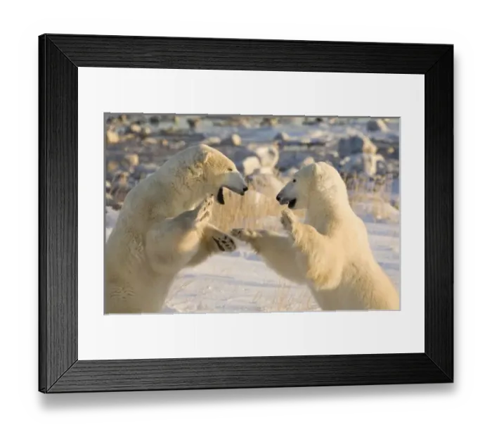 Framed Print : Canada, Manitoba Framed Print : Canada, Manitoba