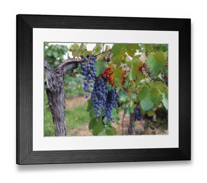 Framed Print : Europe, France Framed Print : Europe, France