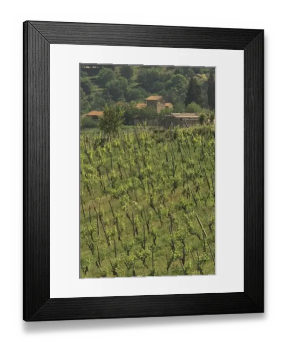 Framed Print : Europe, Italy Framed Print : Europe, Italy