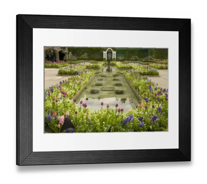 Framed Print : Canada, British Columbia Framed Print : Canada, British Columbia