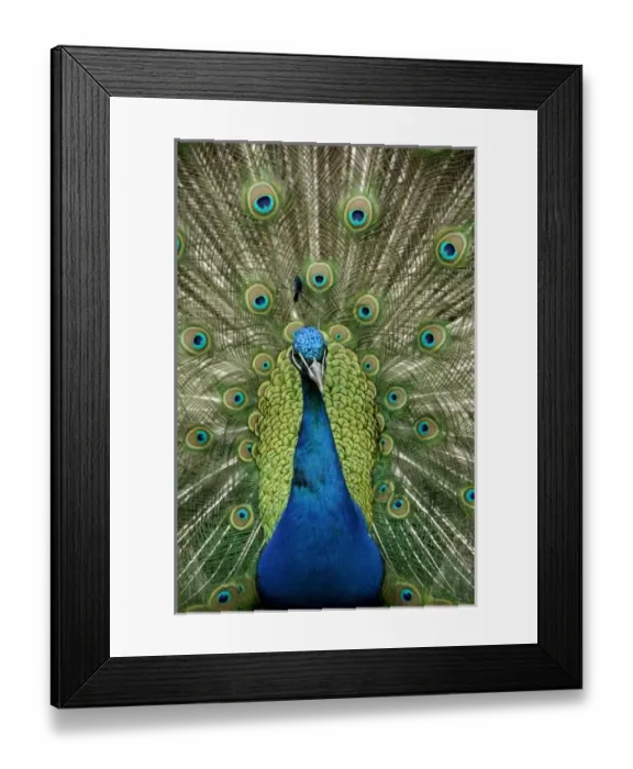 Framed Print : Europe, Wales Framed Print : Europe, Wales