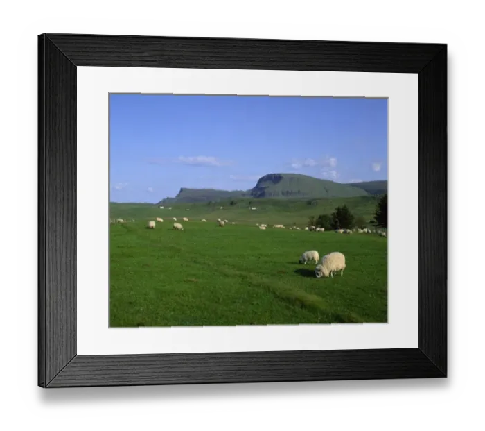 Framed Print : The Quiraing Mountains, Isle of Skye, Highlands, Scotland Framed Print : The Quiraing Mountains, Isle of Skye, Highlands, Scotland