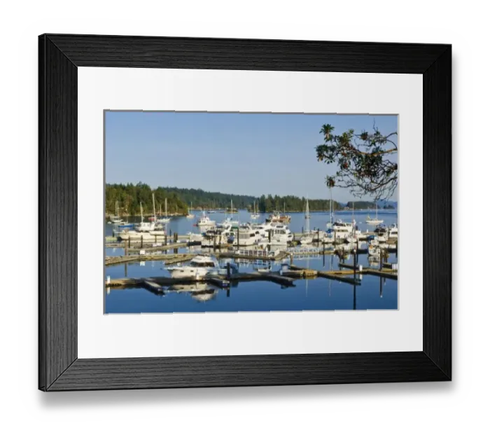 Framed Print : Canada, BC, Gulf Islands, Salt Spring Island, Ganges Harbor Framed Print : Canada, BC, Gulf Islands, Salt Spring Island, Ganges Harbor