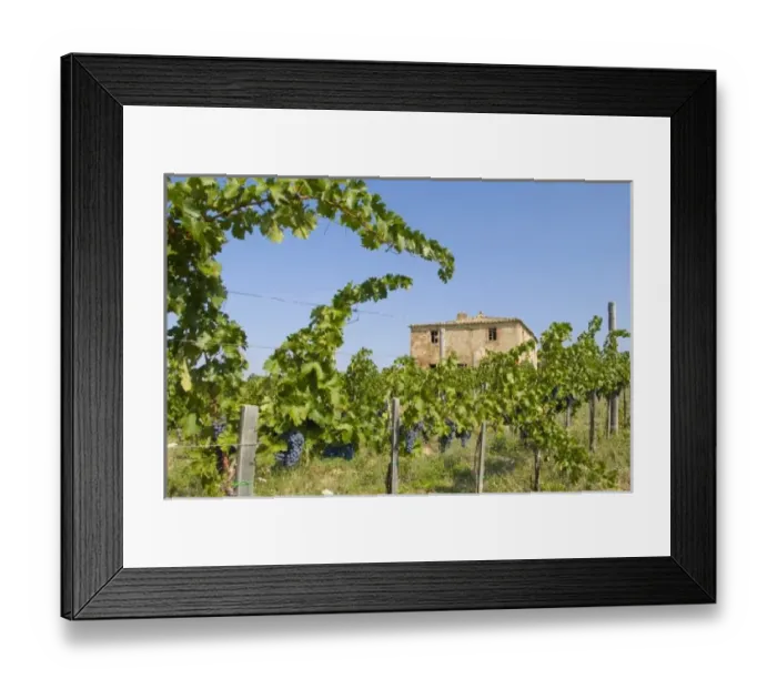 Framed Print : Europe, Italy Framed Print : Europe, Italy