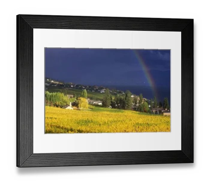 Framed Print : N. A. Canada, British Columbia, Okanagan Valley, Rainbow over Vineyard Framed Print : N. A. Canada, British Columbia, Okanagan Valley, Rainbow over Vineyard