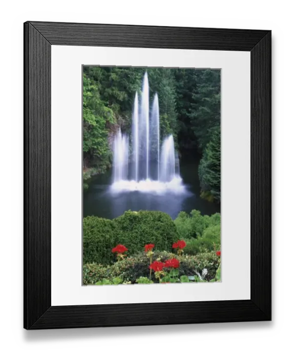 Framed Print : N. A. Canada, British Columbia, Vancouver Island, Saanich, Butchart Gardens Framed Print : N. A. Canada, British Columbia, Vancouver Island, Saanich, Butchart Gardens