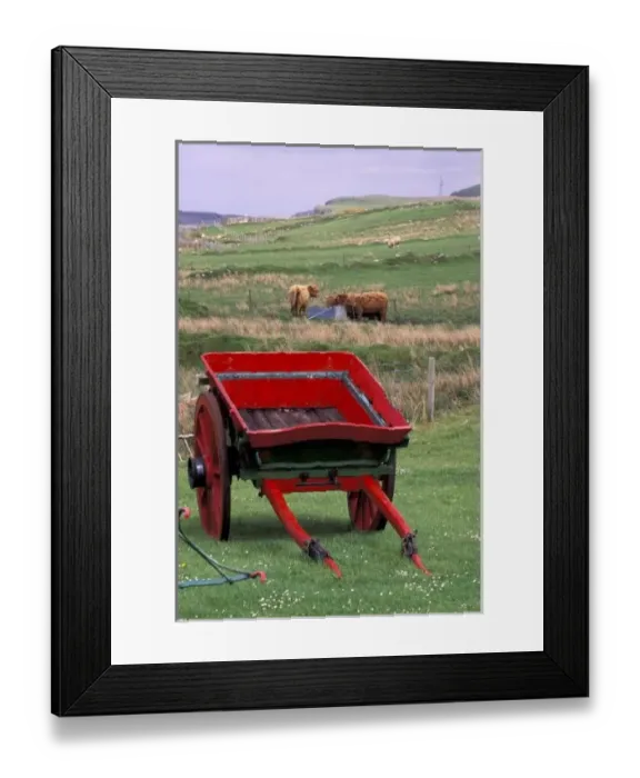Framed Print : Scotland, Isle of Skye, Kilmuir. Farm animals and wheelbarrow Framed Print : Scotland, Isle of Skye, Kilmuir. Farm animals and wheelbarrow