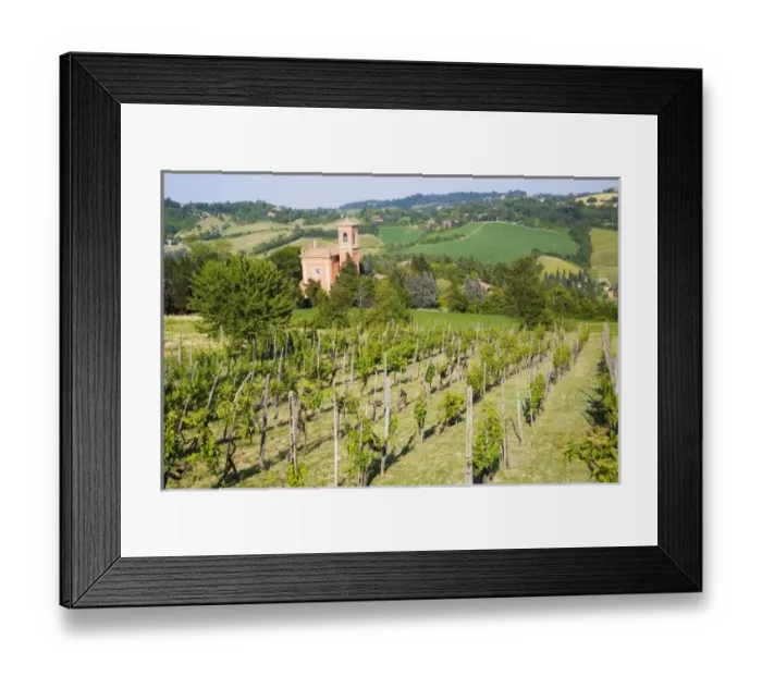 Framed Print : Italy, Bologna, View through Vineyard to Chiesa Di Casaglia Framed Print : Italy, Bologna, View through Vineyard to Chiesa Di Casaglia