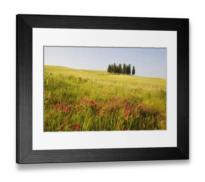 Framed Print : Europe, Italy Framed Print : Europe, Italy