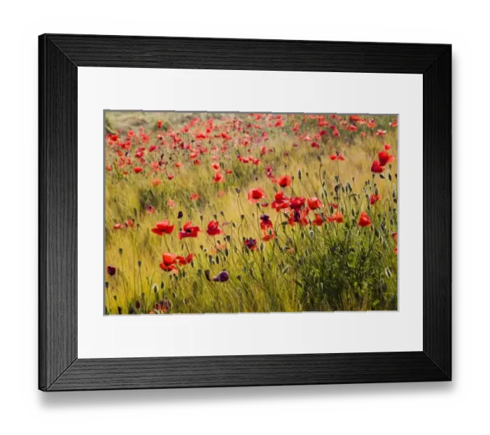 Framed Print : Europe, Italy Framed Print : Europe, Italy