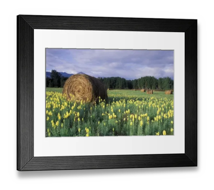 Framed Print : Canada, British Framed Print : Canada, British