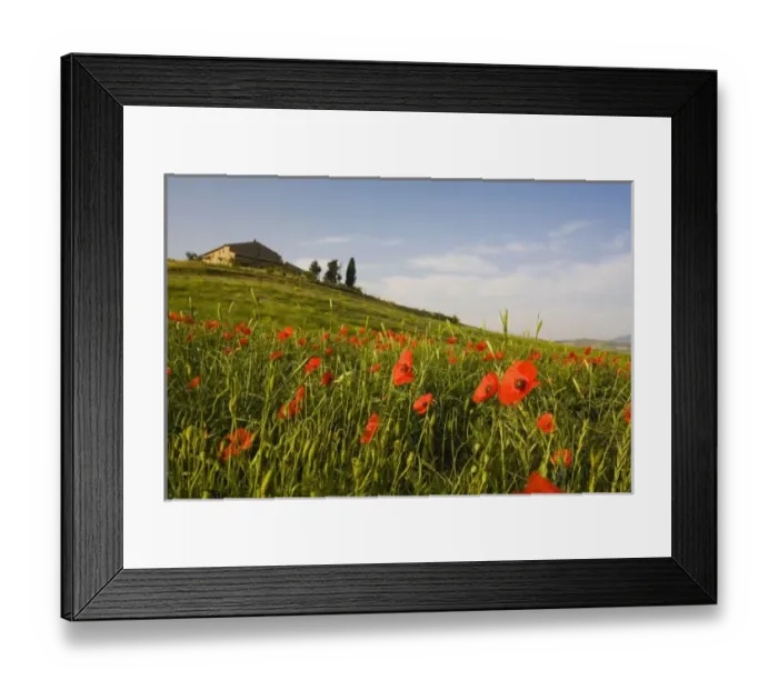 Framed Print : Italy, Tuscany, Tuscan Villa in Spring With Poppies Framed Print : Italy, Tuscany, Tuscan Villa in Spring With Poppies