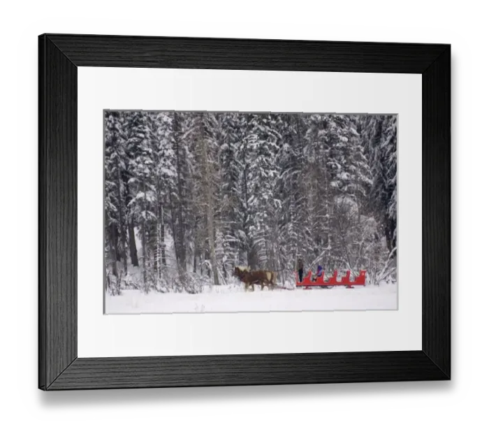 Framed Print : Canada, Banff. Sleigh rides at Martin Stables Framed Print : Canada, Banff. Sleigh rides at Martin Stables