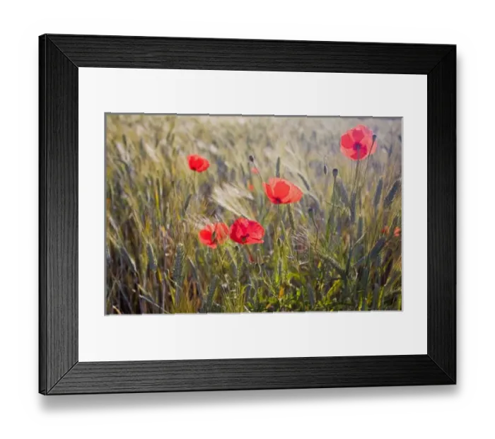 Framed Print : Europe, Italy Framed Print : Europe, Italy