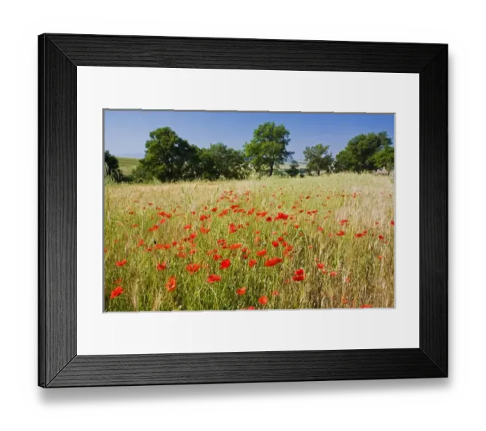 Framed Print : Europe, Italy