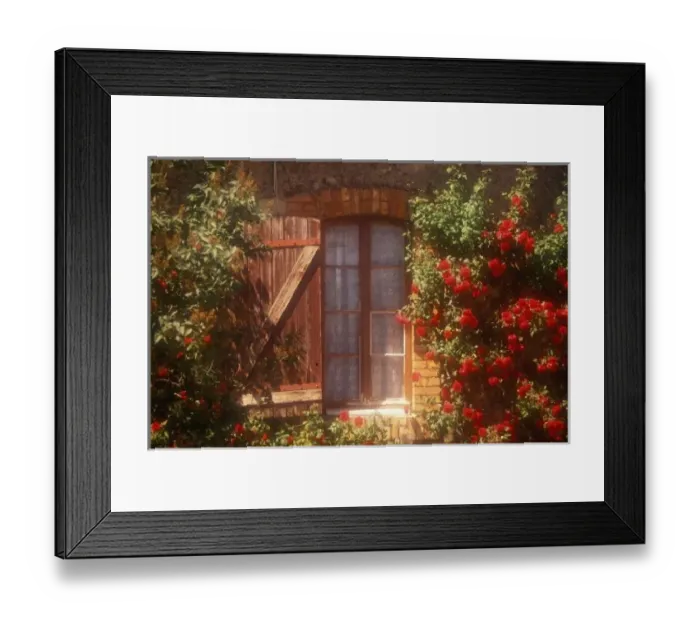 Framed Print : EU, France, Provence, Vaucluse, Apt. House with summer roses in bloom Framed Print : EU, France, Provence, Vaucluse, Apt. House with summer roses in bloom