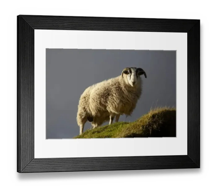 Framed Print : Europe, Scotland Framed Print : Europe, Scotland