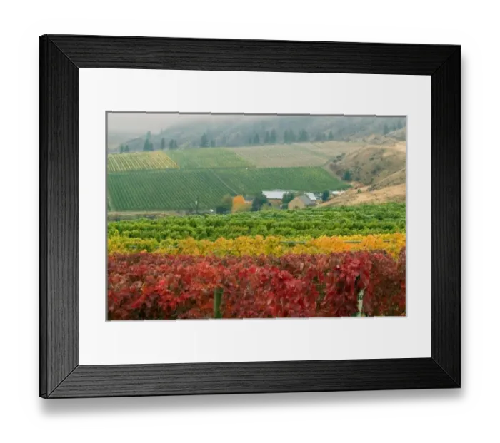 Framed Print : Canada, British Columbia Framed Print : Canada, British Columbia