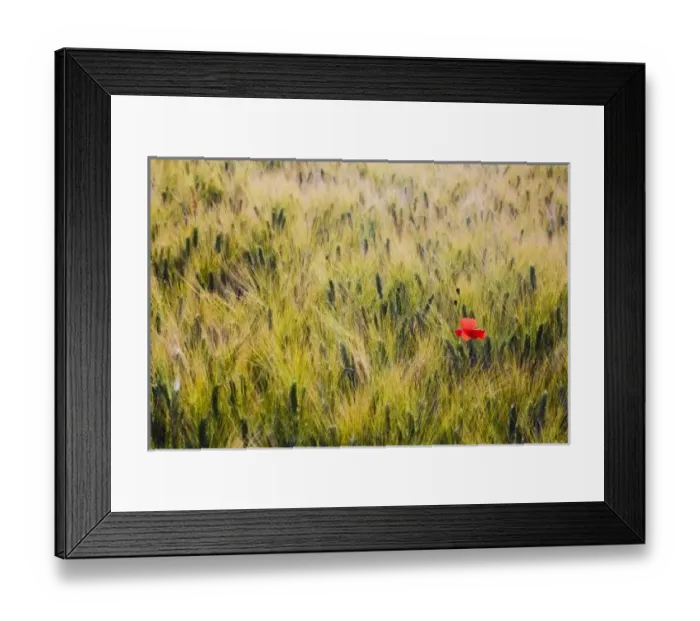 Framed Print : Europe, Italy