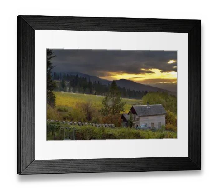 Framed Print : Sunset sky over vineyards and historic log cabin with antique Ford pick up at Summerhill Framed Print : Sunset sky over vineyards and historic log cabin with antique Ford pick up at Summerhill
