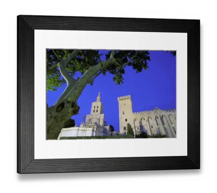 Framed Print : Europe, France, Provence, Vaucluse, Avignon. Palais des Papes