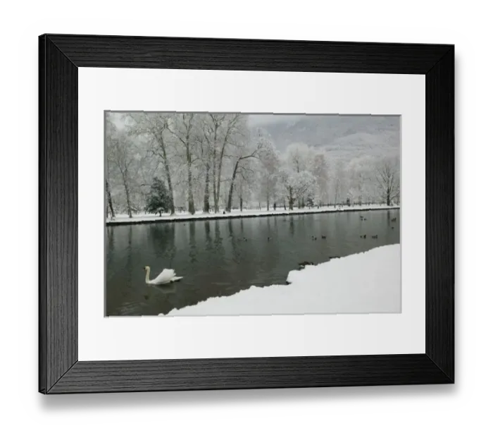 Framed Print : FRANCE, French Alps (Isere), VIZILLE: Chateau de Vizille Park after winter stormSwan Lake Framed Print : FRANCE, French Alps (Isere), VIZILLE: Chateau de Vizille Park after winter stormSwan Lake