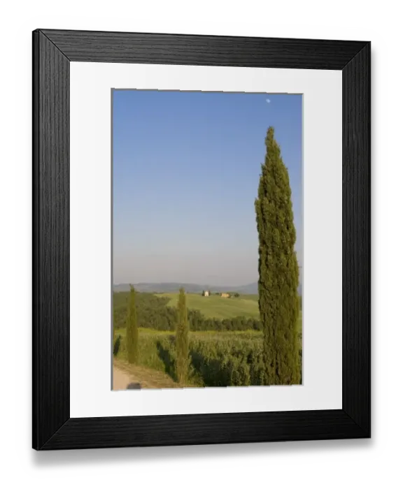 Framed Print : Countryside near Pienza. Val d Orcia, Siena province, Tuscany, Italy Framed Print : Countryside near Pienza. Val d Orcia, Siena province, Tuscany, Italy