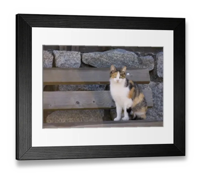 Framed Print : Italy, Trentino - Alto Adige, Bolzano province, Dolomites, Val di Funes Framed Print : Italy, Trentino - Alto Adige, Bolzano province, Dolomites, Val di Funes