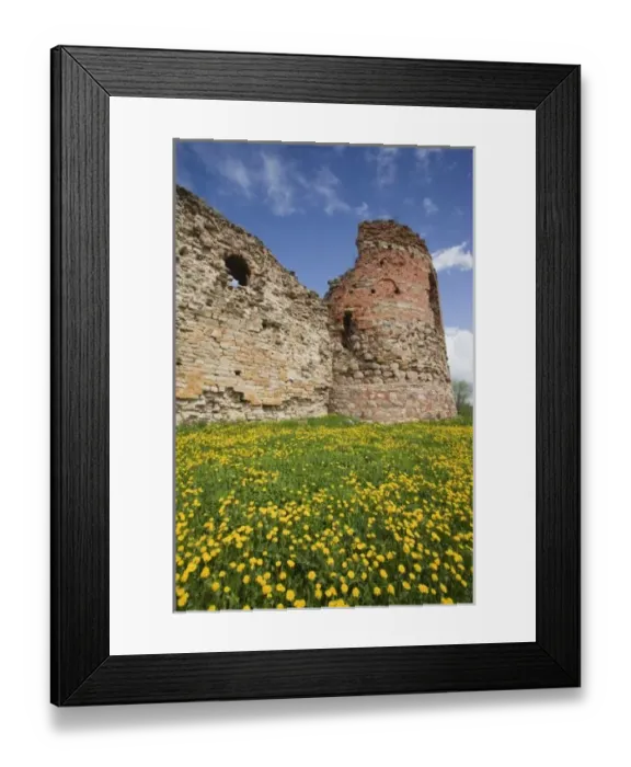 Framed Print : Estonia, Southeastern Estonia, Vana-Vastseliina, Vastseliina Castle ruins, b. 14th Framed Print : Estonia, Southeastern Estonia, Vana-Vastseliina, Vastseliina Castle ruins, b. 14th