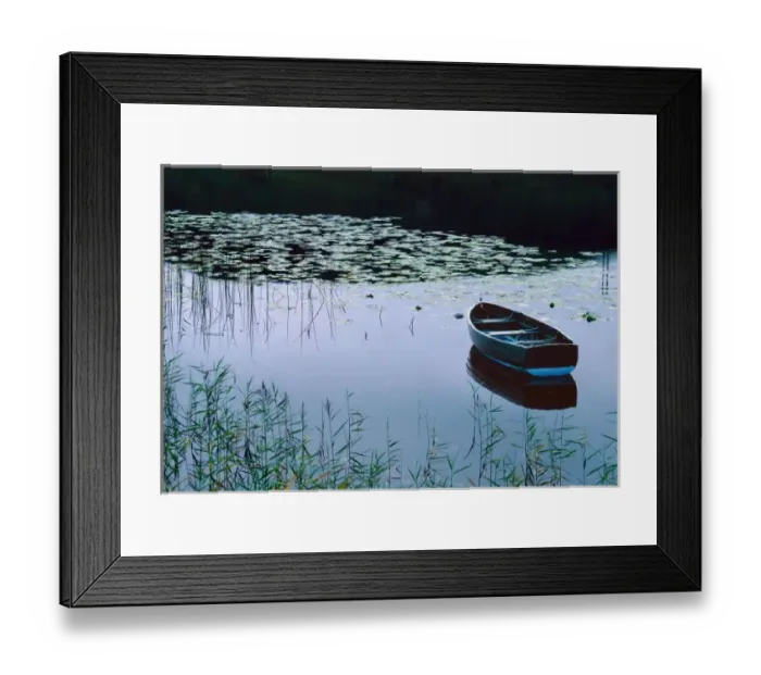 Framed Print : Rowboat on small lake surrounded by water lillies (Nymphaea sp. ) in the Lake District National Park Framed Print : Rowboat on small lake surrounded by water lillies (Nymphaea sp. ) in the Lake District National Park