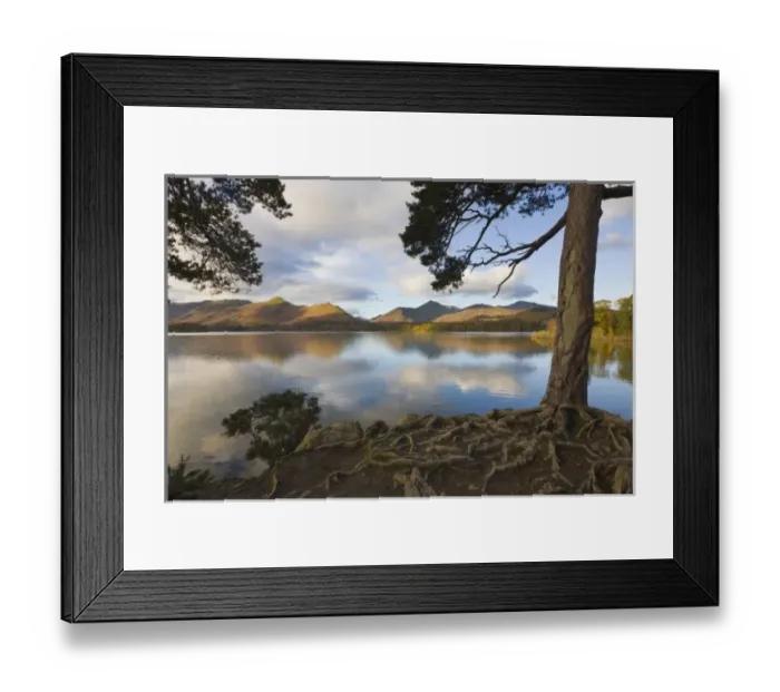 Framed Print : Derwentwater, Lake District, Cumbria, England
