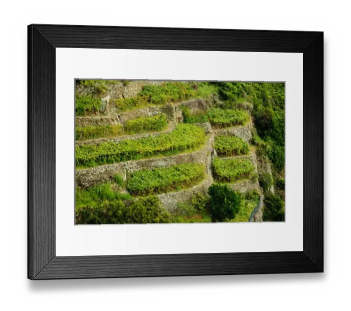 Framed Print : Europe, Italy