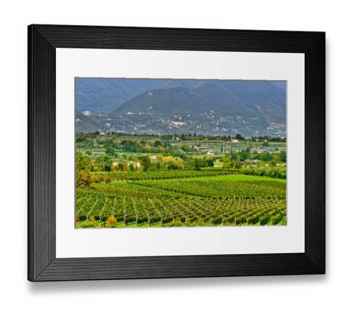 Framed Print : Italy, Lake Garda. The shores of Lake Garda are home to a thriving wine region Framed Print : Italy, Lake Garda. The shores of Lake Garda are home to a thriving wine region