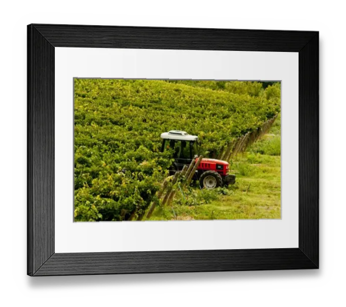 Framed Print : Europe, Italy Framed Print : Europe, Italy