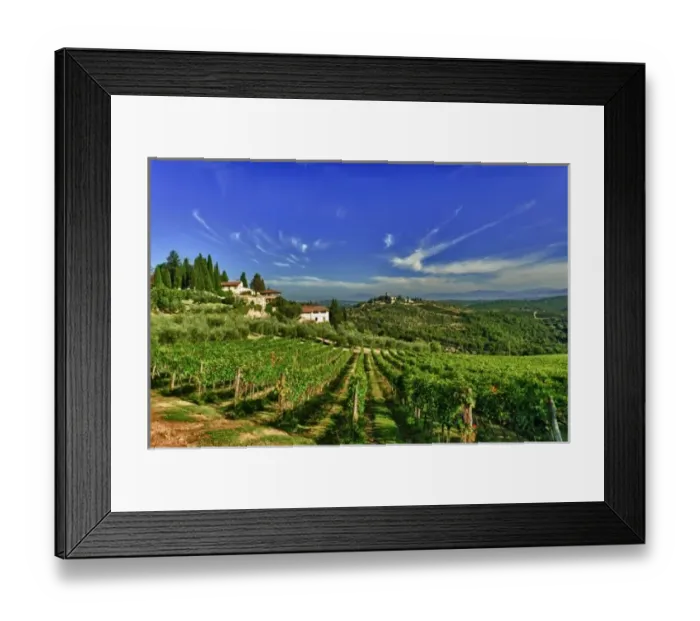 Framed Print : Europe, Italy, Tuscany, Greve. The vineyards of Castello di Verrazzano Framed Print : Europe, Italy, Tuscany, Greve. The vineyards of Castello di Verrazzano