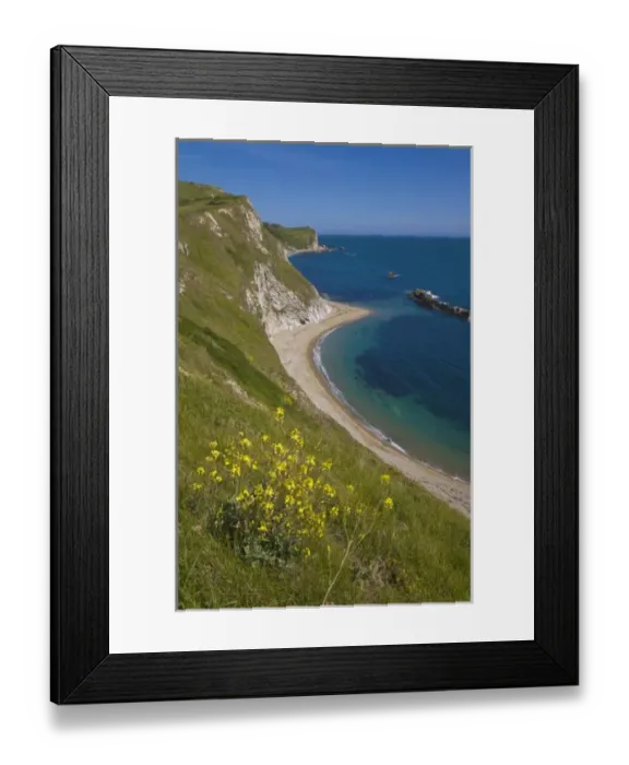 Framed Print : Man o War Bay, Jurassic Coast, Lulworth, Dorset, England Framed Print : Man o War Bay, Jurassic Coast, Lulworth, Dorset, England