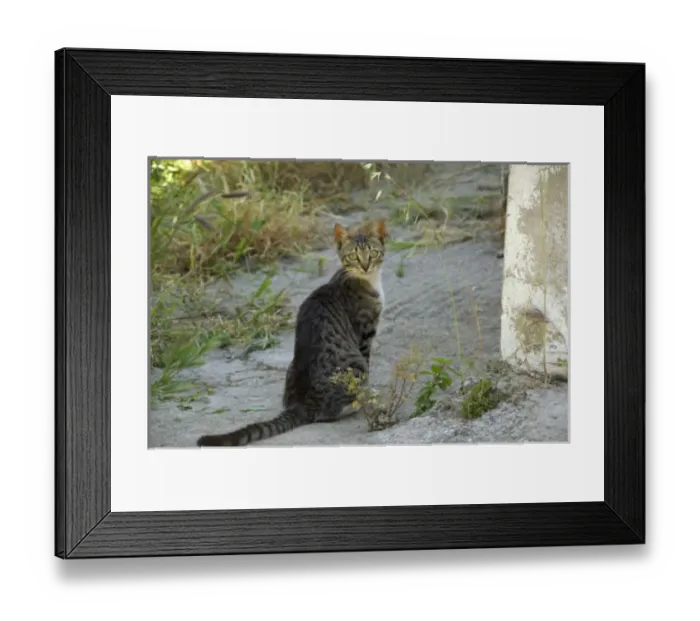 Framed Print : Europe, Greece Framed Print : Europe, Greece