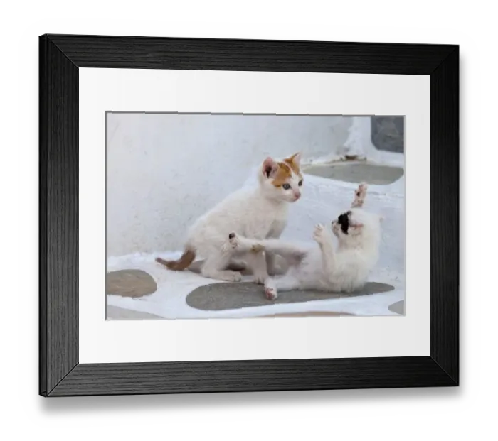Framed Print : Greece, Mykonos Framed Print : Greece, Mykonos
